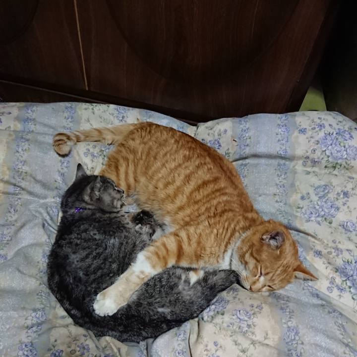 74941fcc 2dce 4b35 a2bc 86316caf0309 1579958778317