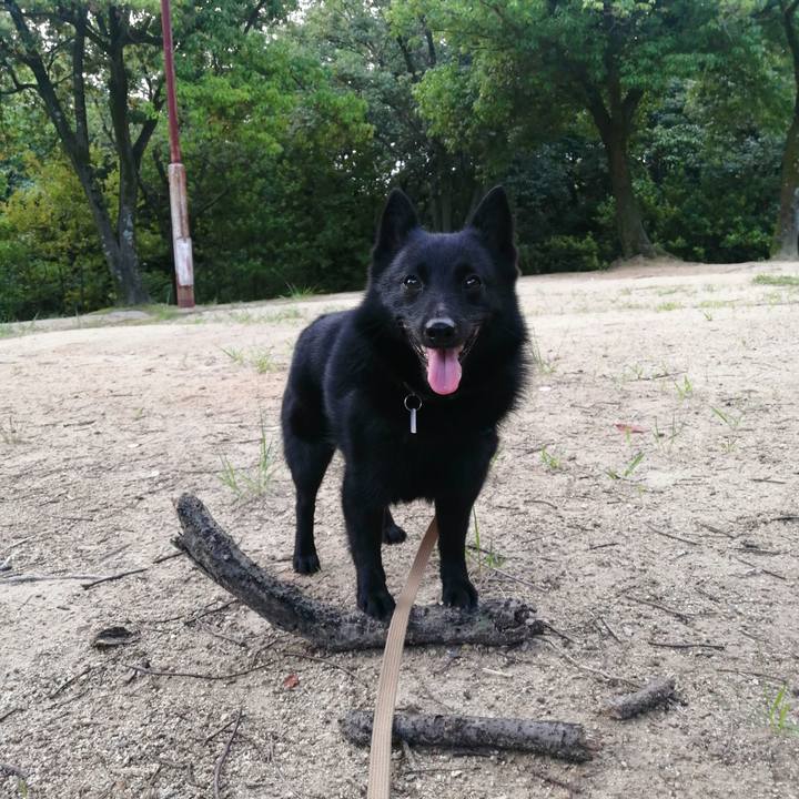 7494297a fc5d 4f7d ac95 c47f0ed218a0 1626124311839