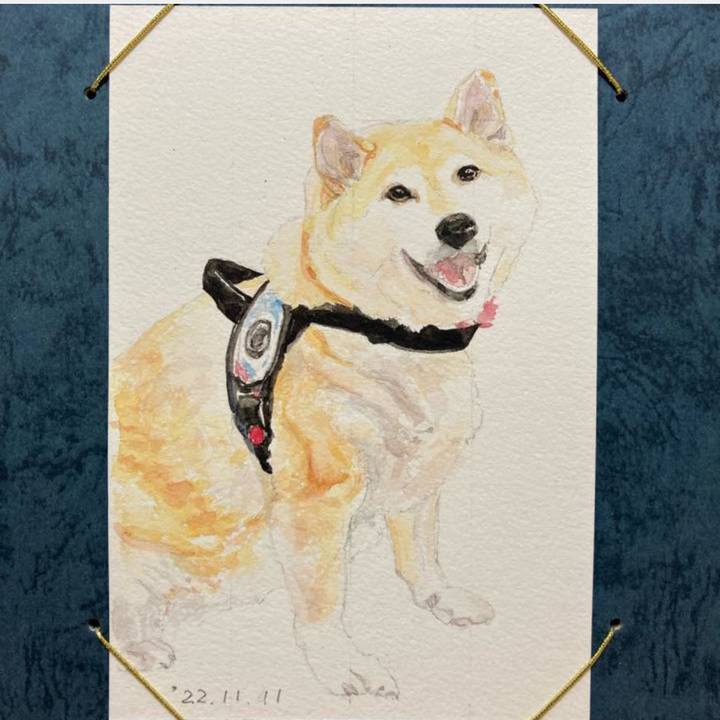 749469c2 d5ae 43be a5d0 681d2e4b4978 1668178661481