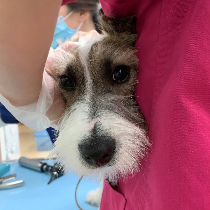 74947aad 31cf 4e39 a2d5 18d0f2f3a1d0 1574971603123