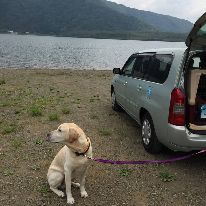 7494ee58 d5e5 43c1 b749 fa8d1642a42e 1527583226391