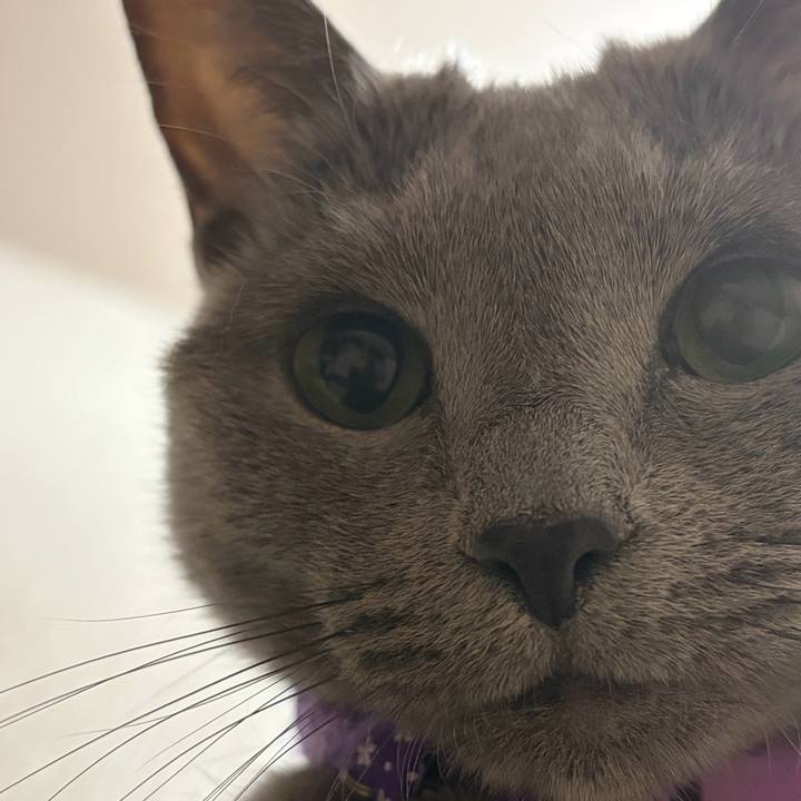 74952787 ccaf 4e9e ad63 cd1593a2aa43 1758981192452