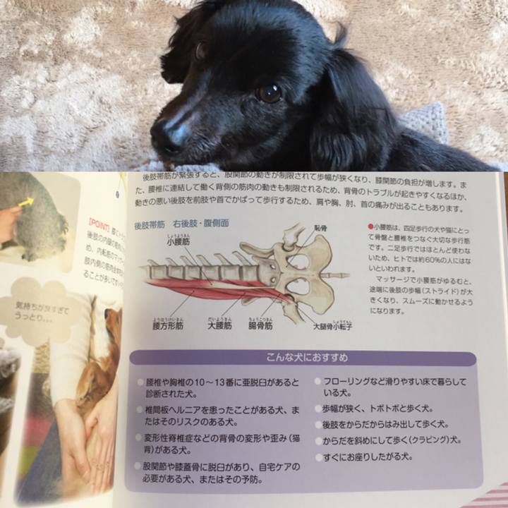 74952b2a a410 481d 819a 5d83341efe69 1544225462490