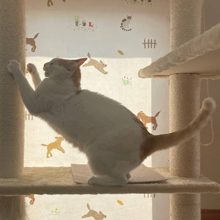 749549cd c6f4 42a5 afb0 970a11ec4d56 1645945459715