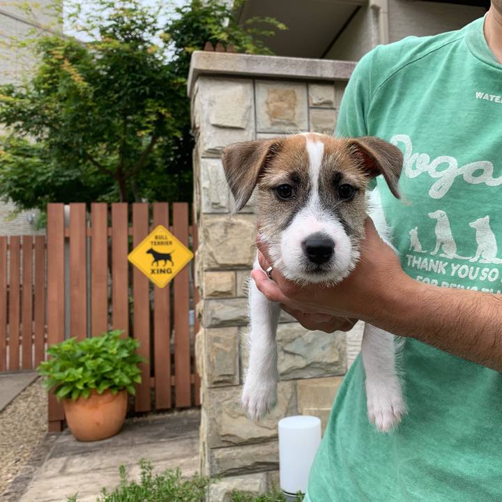 749551cf 43d3 4383 840f b6a646f12e53 1560056697943