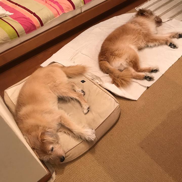 74955c7f 616c 4978 9f68 42fe7811578f 1537626241426