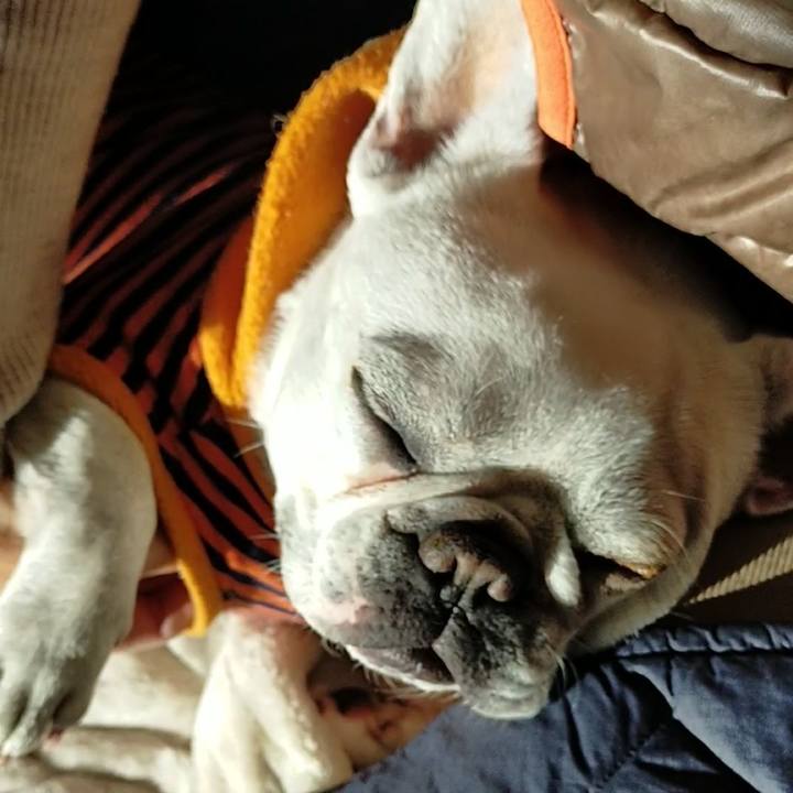 74955f2d c3a9 495b 85a2 69fad83ca0c8 1670366913403