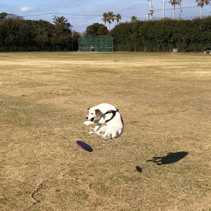 749571bd 3991 44ce bfdc 97315e477588 1520755353545