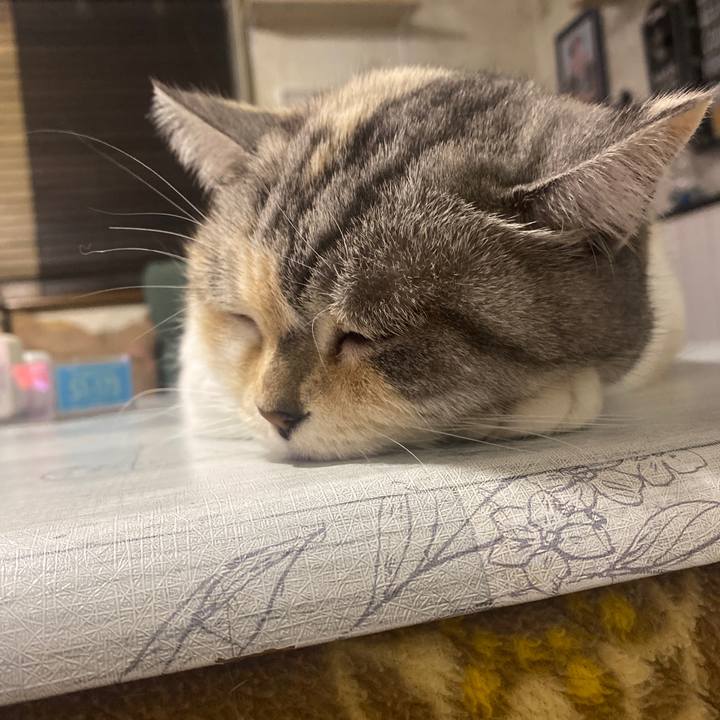 74959a7c f3c4 4592 a971 d4874a6b4973 1670864173719