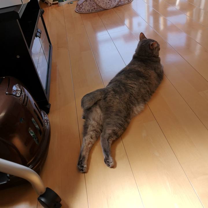 7495bd27 337e 4ee8 8214 98fa1d8a1456 1589359675595