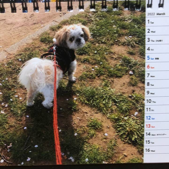 7495be91 04c4 4e01 b50d f3a3bc7489f5 1646478332325