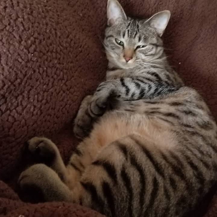 7495f1fd 30eb 4c27 863b 1af3f820d596 1688796442955