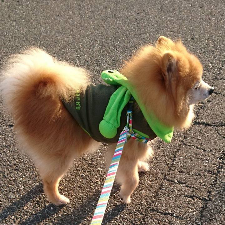 74961559 baff 4c1d b6a3 21b1d630cd07 1553035519462