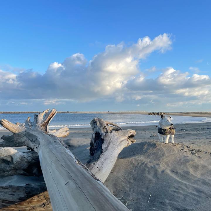 74961c28 a14d 4002 83cb 47a2b4d9b66a 1702511879988