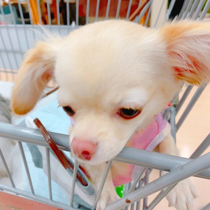 749686e4 154b 42df 94e0 d1dcfb2d4d1b 1629293391063