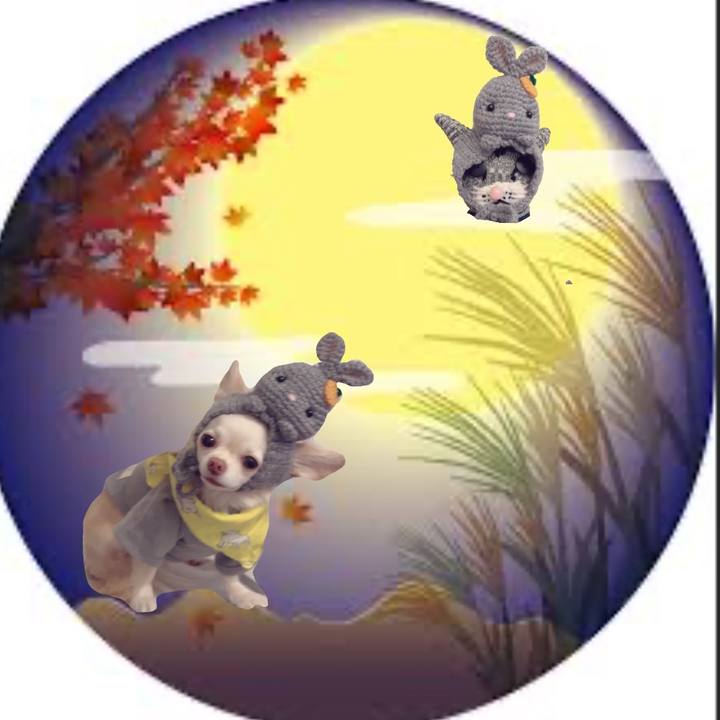 7496bf28 f38e 4447 8c32 6bf40f73b753 1695987696598