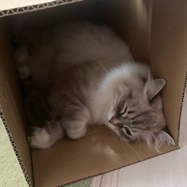 7496ce0d 2a7d 4bd3 b1af 5638299c5d9e 1719839216928