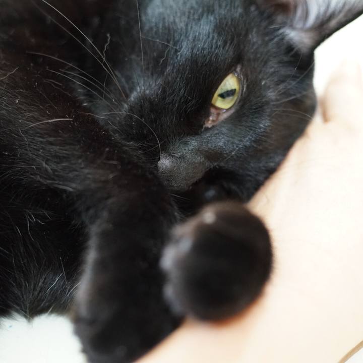 7496d959 01a8 4679 92fe d50267e3dfaf 1533080209103