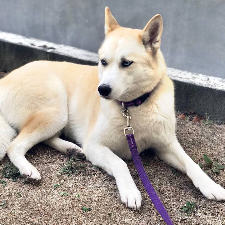 7496ddcd fe6d 42a2 8eb6 6461ea31935d 1518659879376