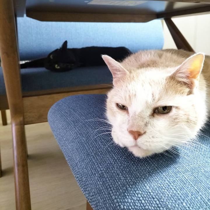 7496e914 64f6 43d3 a842 a2ed0520007c 1686748906682