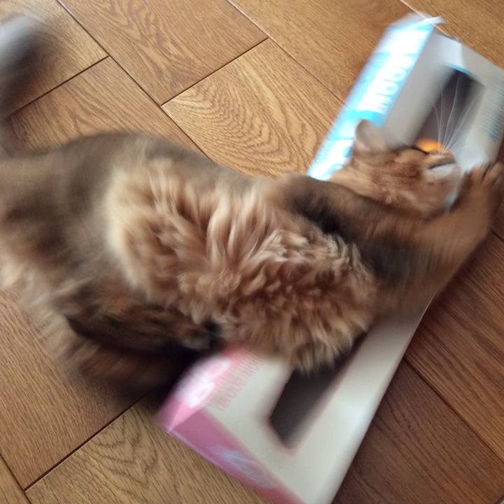 74970ceb 9f3f 471a 878a 14415bac4eed 1576192874942