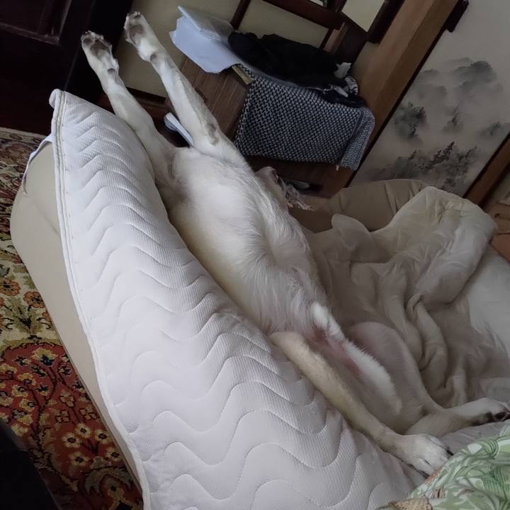 7497200e dbbf 4ec0 a962 e037b8315fd8 1719884671858