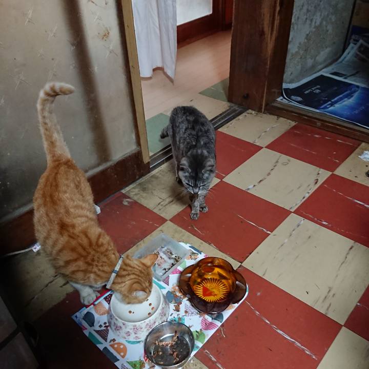 7497568d cf0d 4c09 b819 c3e1e174fa64 1591561082793