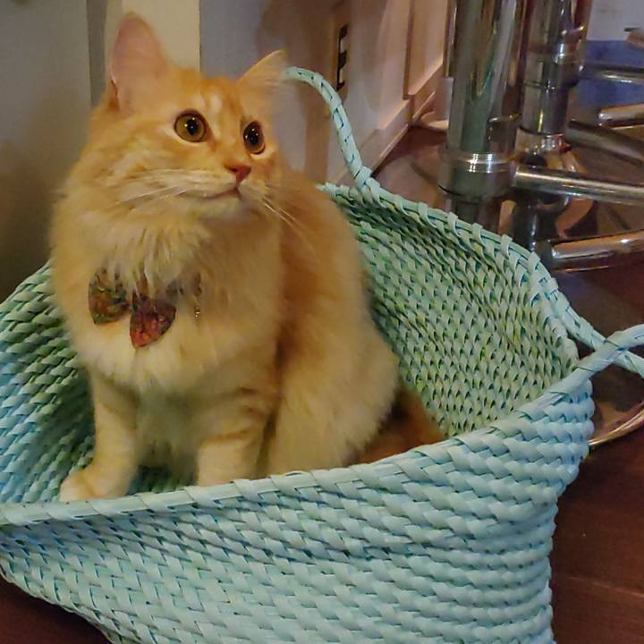 7497a5f5 dad2 4548 8872 5c9e16ef83fe 1660483375501