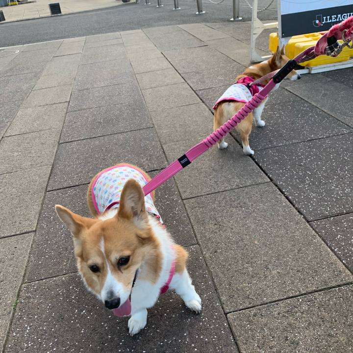 7497af44 6f09 41ec 9318 12310d5a2233 1613640730156