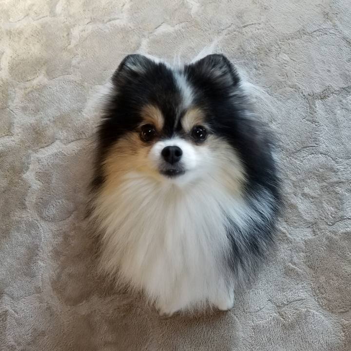 7497d3a3 0e71 4d25 bfca f6edd658f91c 1592348322192