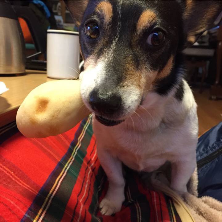 7498102a 1ca1 48eb ab4a 03084af2d6a5 1704773422416