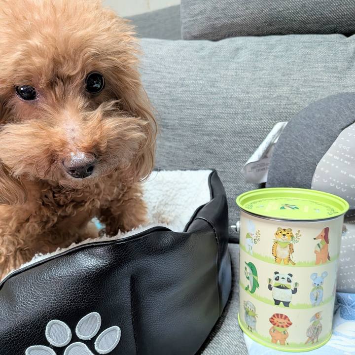 74981701 b0d6 4dae bb43 3357dab9cf4d 1765272520932