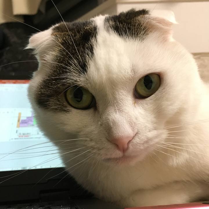 74987cbd b13c 474a a136 09f3212b96cc 1523798127166