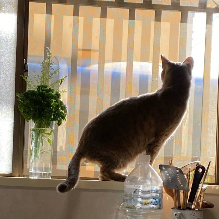 7498803f 8923 4c20 94bc e225cab4a283 1618931463174