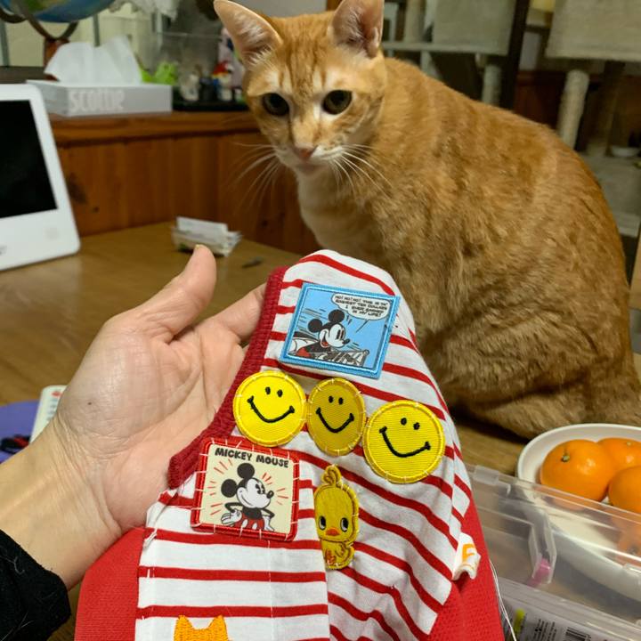 74988a34 bc5a 4540 82bc 5bb7444b2c03 1576309907651