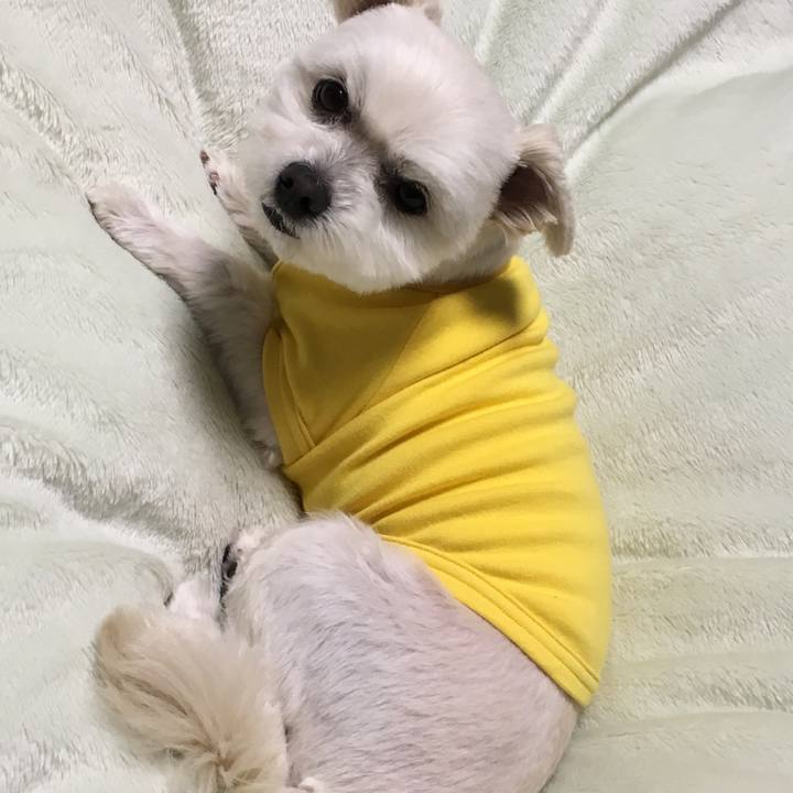 74989f23 015b 4f16 800e 0ac7eeb76452 1555245171426