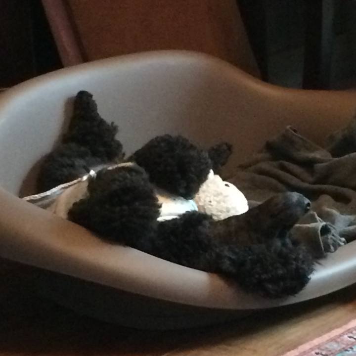 7498a831 f152 49a2 b91c 47dea38ada72 1563947554306