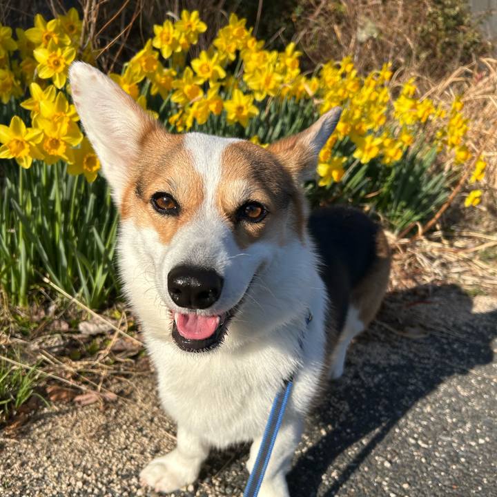 7498c353 d8a0 4678 ae57 eb598c7403ff 1773409386964