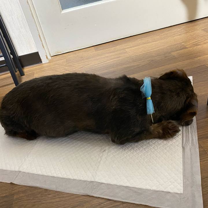 7498c841 7497 4638 bae8 803070f8aa76 1619104481043