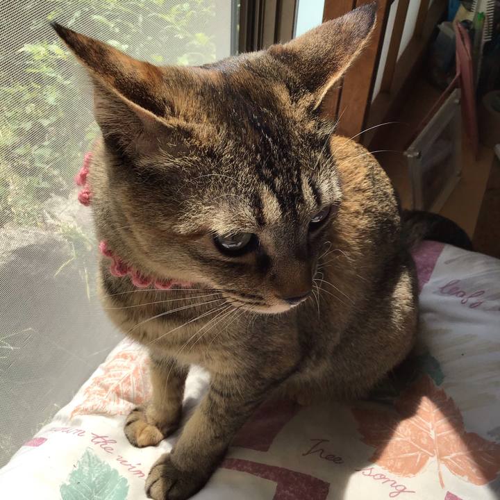 7498dbac b449 41e4 8af3 abe1129b486a 1588396233264