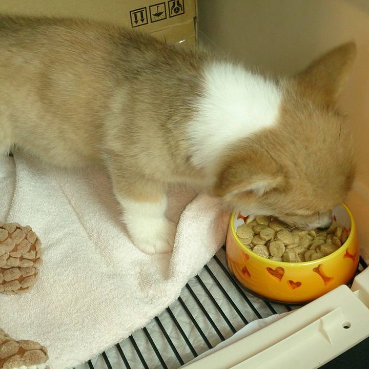 7498ecb2 fa94 497e aade 194e7e655b1d 1595072069307