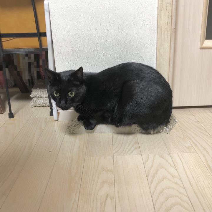 7498ee15 3a11 40bc a980 feb8feb36eea 1639223870324