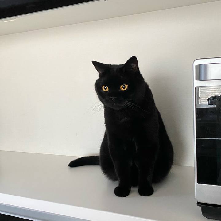 7498f60e 2323 4eb9 b854 fc31f108f2e3 1758710675780