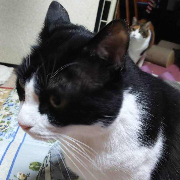 7498f646 769d 4bb3 a95c 591fd7729136 1576706009335