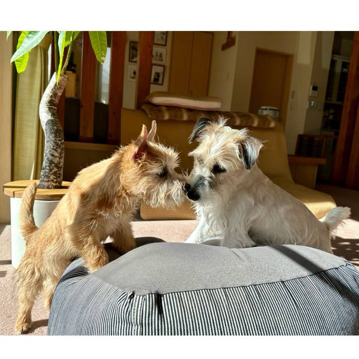 749903a8 0c66 4ff5 afd0 75ce6292fc5b 1705975544349