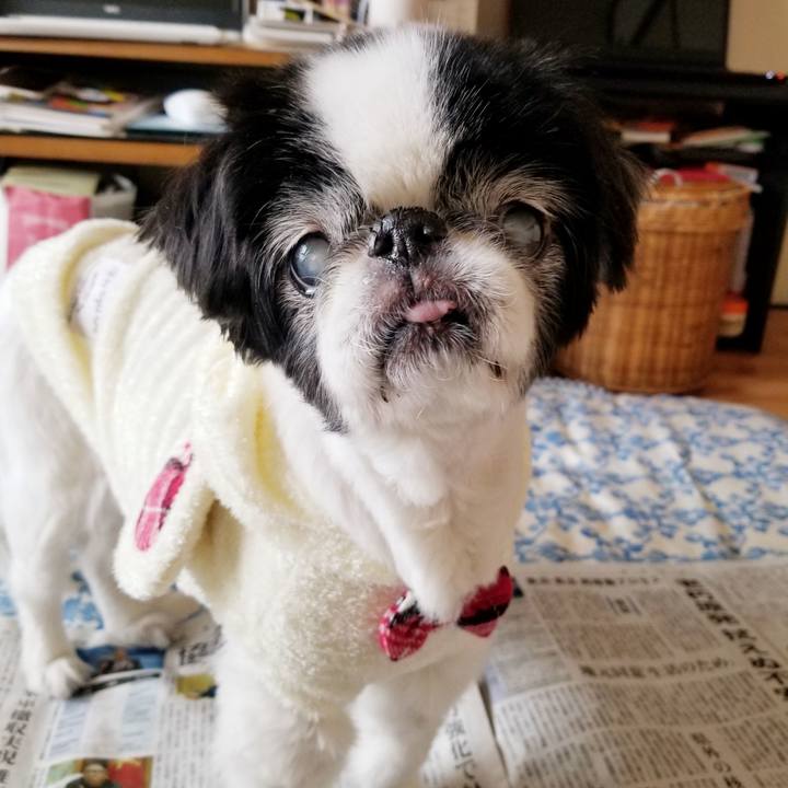 7499153e 8aa3 4162 9058 f76f350e3416 1610334927328