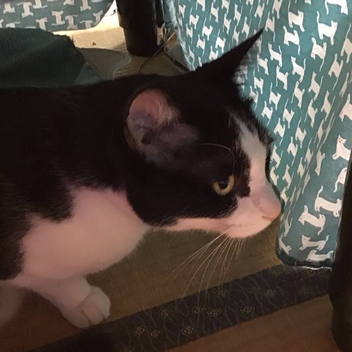 7499386e 7c99 4883 8415 ff04bc68e739 1759232344740