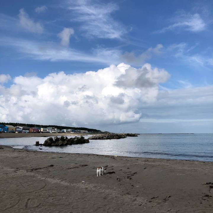 749950dd fbb2 4e28 acea 2646d20fc88f 1594594599012