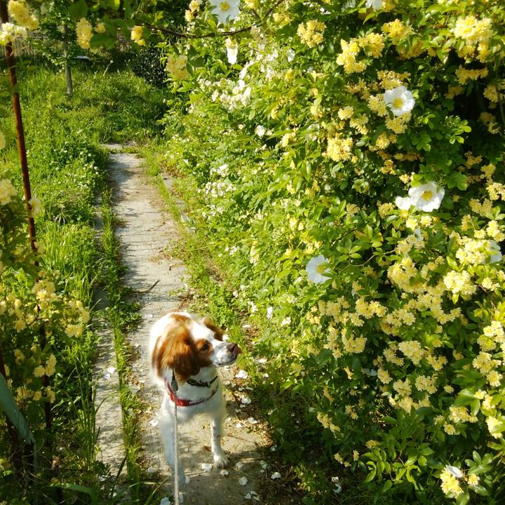 74995ffc df56 4820 b059 154745e412ed 1525132027147