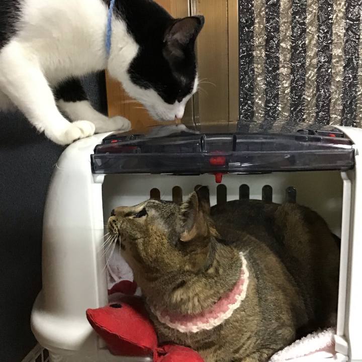 749989f3 9980 4f84 a8e8 491bd17080be 1722856063815